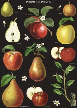 Juliste Cavallini - Apples & Pears