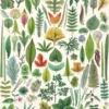 Juliste Cavallini - Folia Leaves