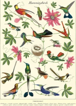 Juliste Cavallini - Hummingbirds