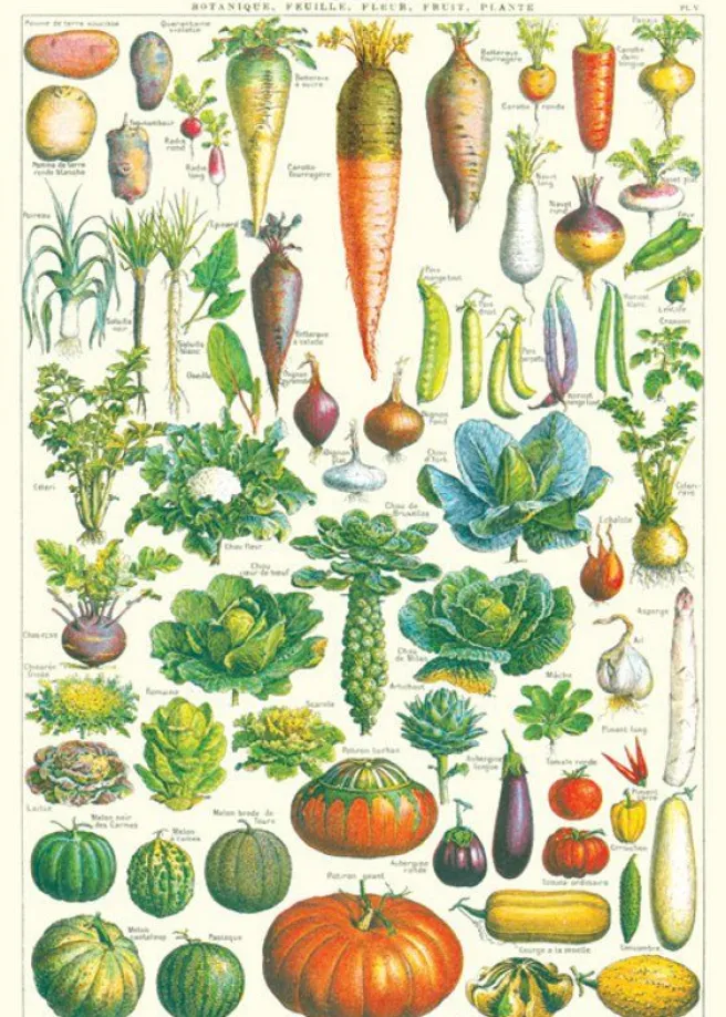 Juliste Cavallini - Le Jardin