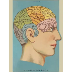 Juliste Cavallini - Phrenology