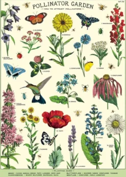 Juliste Cavallini - Pollinators