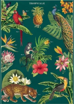 Juliste Cavallini - Tropicale