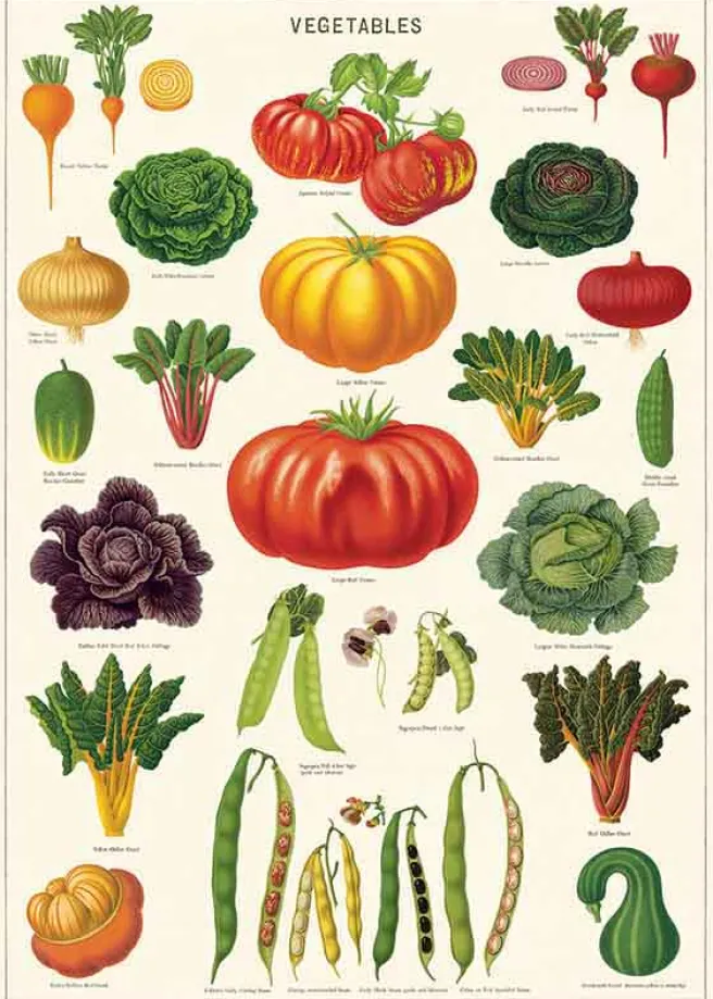 Juliste Cavallini - Vegetable Garden
