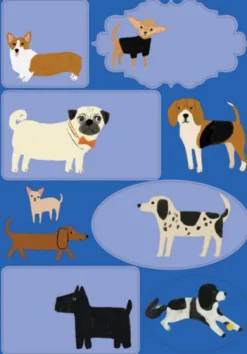 Kirjepaperisetti Roger la Borde - Shaggy Dogs
