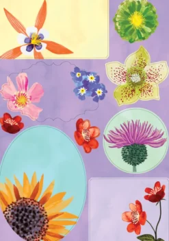 Kirjepaperisetti Roger la Borde - Floral Supernova