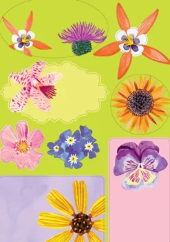 Kirjepaperisetti Roger la Borde - Floral Supernova