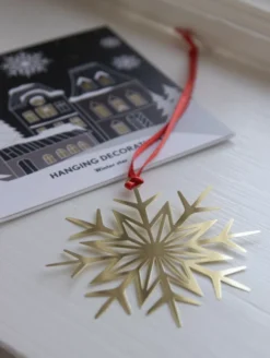 Koriste Pluto Design - Winter Star