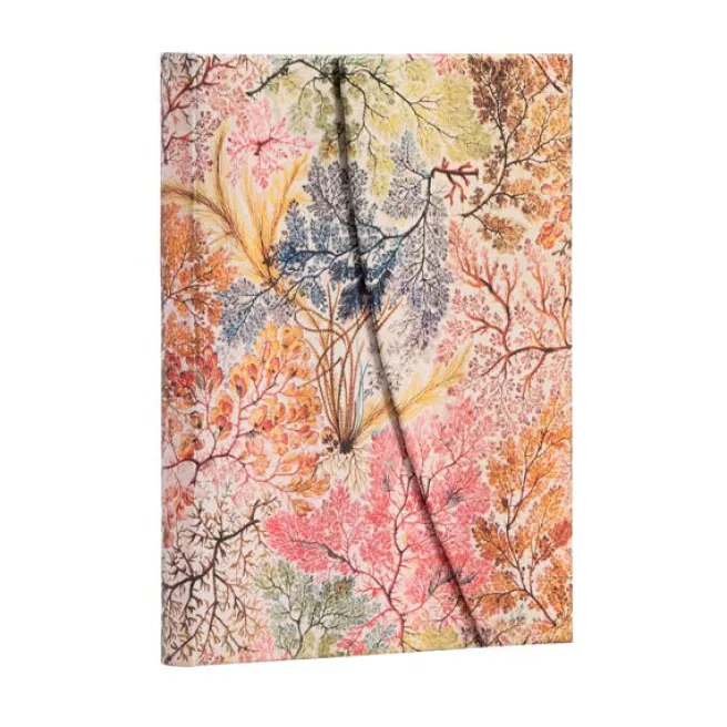 Muistikirja Paperblanks - Anemone, Midi