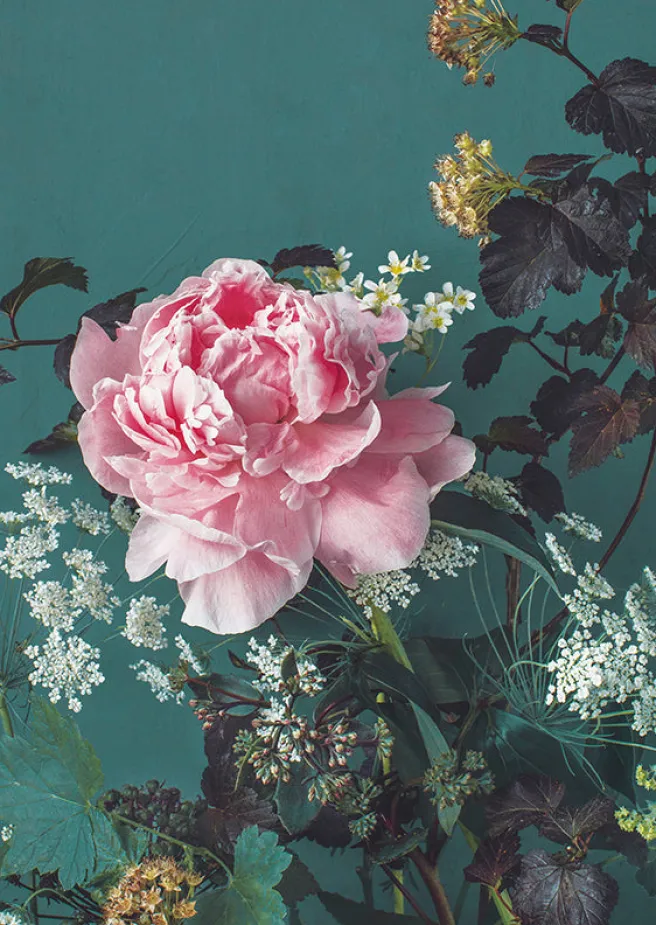 2-osainen kortti Kreetta Järvenpää - Peony Portrait