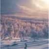 Postikortti Konsta Punkka - Luminen polku